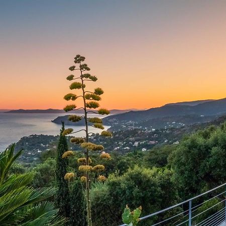 Vistazur Luxueux Appartement Avec Terrasse Et Piscine Le Le Rayol-Canadel-sur-Mer Eksteriør bilde