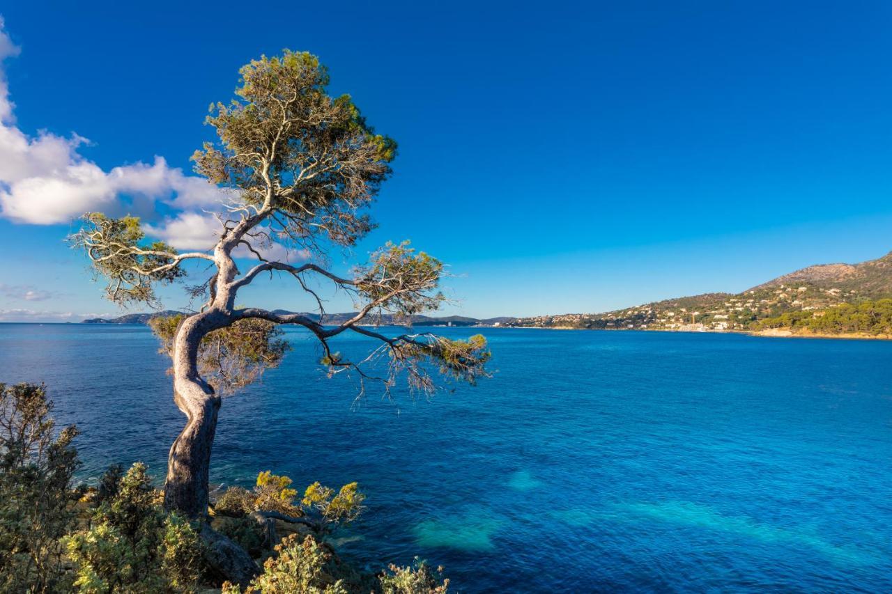 Vistazur Luxueux Appartement Avec Terrasse Et Piscine Le Le Rayol-Canadel-sur-Mer Eksteriør bilde