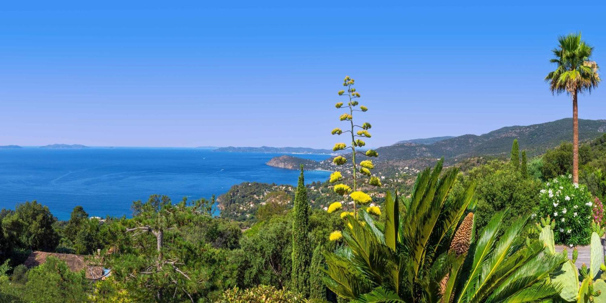 Vistazur Luxueux Appartement Avec Terrasse Et Piscine Le Le Rayol-Canadel-sur-Mer Eksteriør bilde